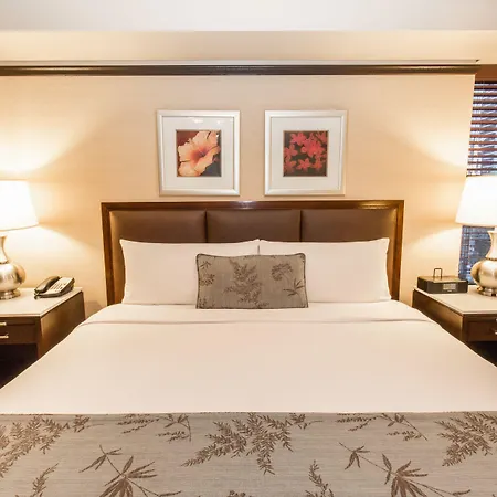 The Belvedere Hotel-3
